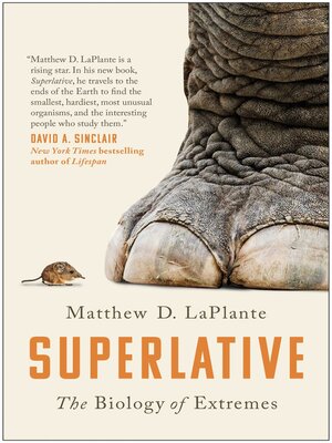cover image of Superlative